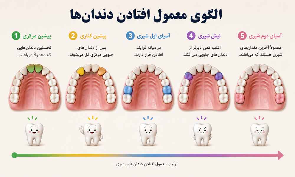 ترتیب افتادن دندان شیری