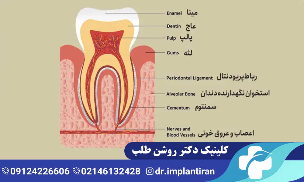 عصب کشی مجدد دندان
